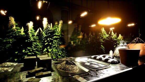 Drug Dealer Simulator 2 — screenshot 2