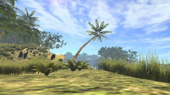 VR World of Pandas — screenshot 5