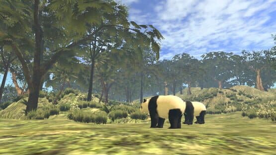 VR World of Pandas — screenshot 6