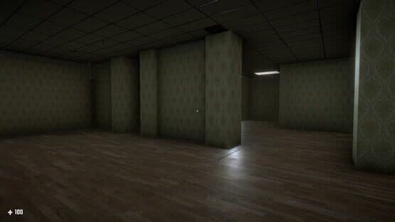 Survival in the Backrooms — screenshot 3