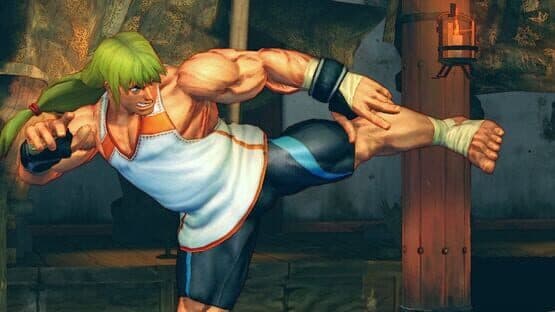 Ultra Street Fighter IV: Complete Shoryuken Pack 2011 — screenshot 2