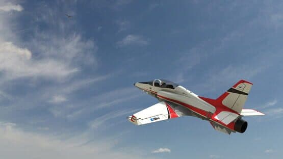 RealFlight Evolution — screenshot 1