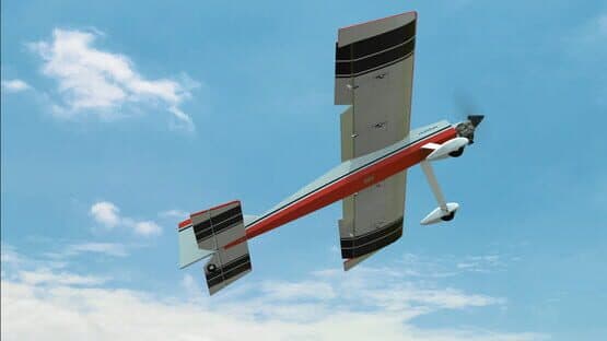 RealFlight Evolution — screenshot 4