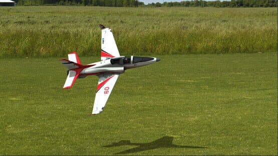RealFlight Evolution — screenshot 5