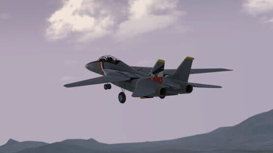 RealFlight Evolution — screenshot 6