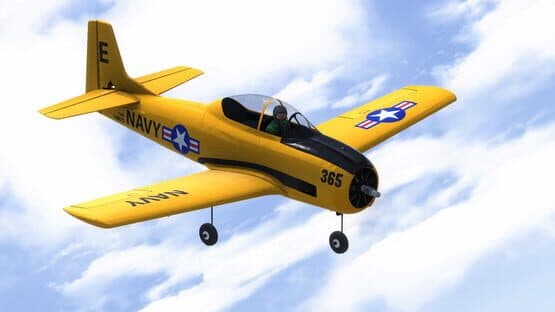 RealFlight Evolution — screenshot 7