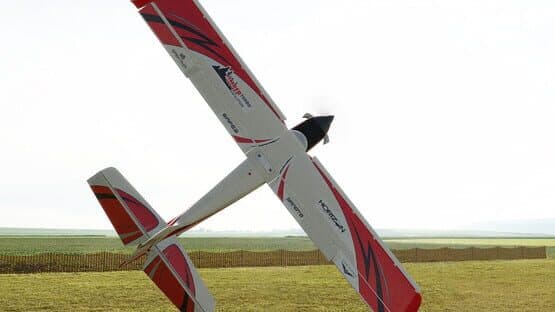 RealFlight Evolution — screenshot 8