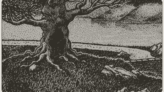 The Simorgh — screenshot 2