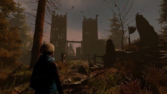 Through the Woods: Collector's Edition — screenshot 1