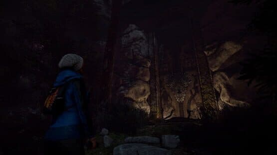 Through the Woods: Collector's Edition — screenshot 2