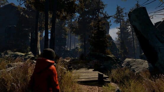 Through the Woods: Collector's Edition — screenshot 3