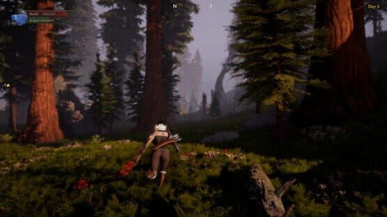 Dragon & Archer — screenshot 4