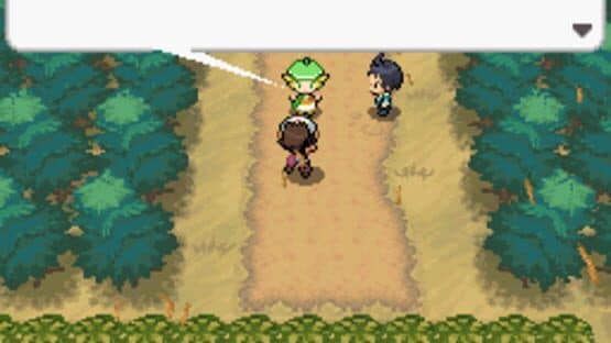 Pokémon Volt White — screenshot 2