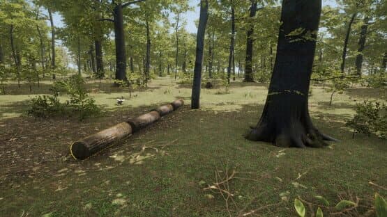 The Seekers: Survival — screenshot 4
