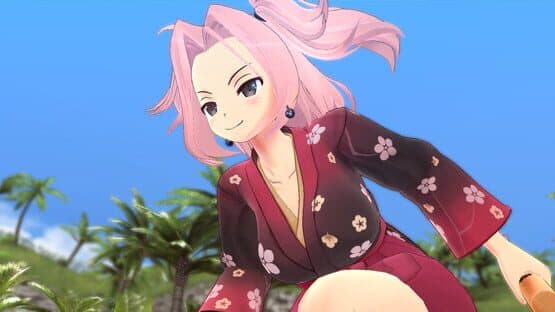 Senran Kagura: Estival Versus - Splash Pack — screenshot 2