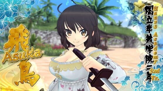 Senran Kagura: Estival Versus - Splash Pack — screenshot 3