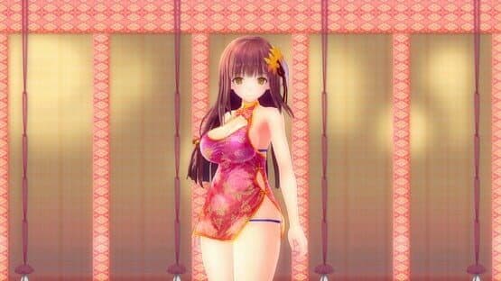 Valkyrie Drive: Bhikkhuni - Complete DLC Pack — screenshot 8