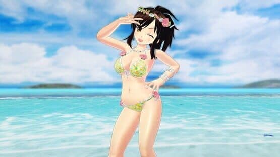 Senran Kagura: Peach Beach Splash - Sunshine Swimsuit Pack — screenshot 1
