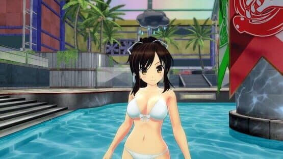 Senran Kagura: Peach Beach Splash - Mega Accessory Pack — screenshot 1