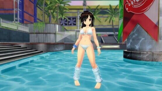 Senran Kagura: Peach Beach Splash - Mega Accessory Pack — screenshot 4