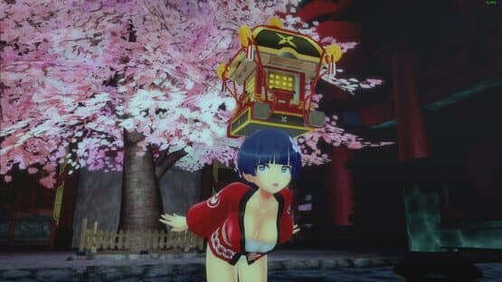 Senran Kagura: Peach Beach Splash - Mega Accessory Pack — screenshot 8
