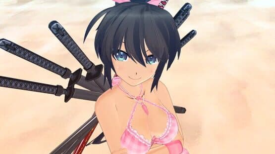 Senran Kagura: Estival Versus - Surprise Pack — screenshot 4