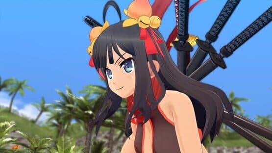 Senran Kagura: Estival Versus - Shinobi Pack — screenshot 2