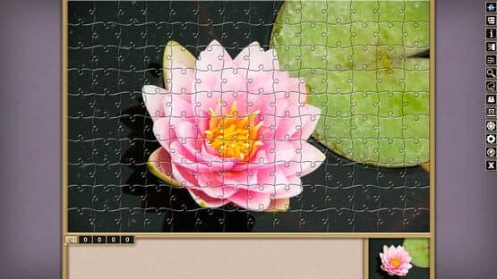 Pixel Puzzles Traditional Jigsaws: Pack - Variety Pack 5 — screenshot 3