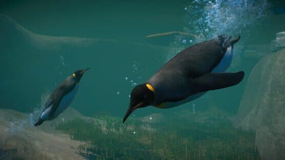 Planet Zoo: Aquatic Pack — screenshot 2