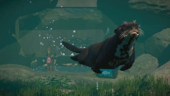 Planet Zoo: Aquatic Pack — screenshot 5
