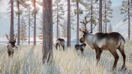 Planet Zoo: Arctic Pack — screenshot 3