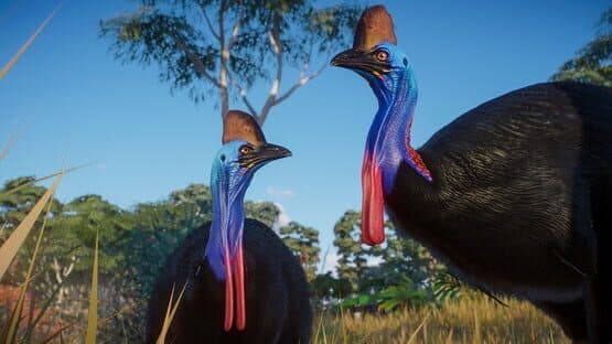 Planet Zoo: Australia Pack — screenshot 8
