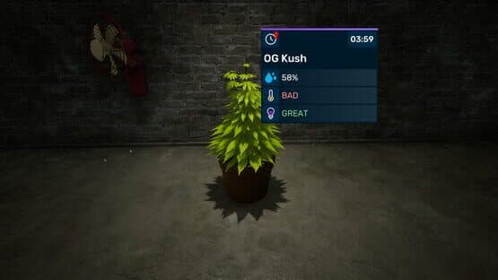 Illegal Plantation — screenshot 2
