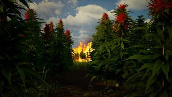 Illegal Plantation — screenshot 4
