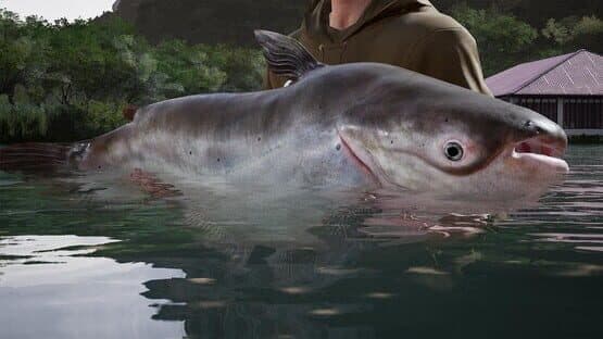 Fishing Sim World: Pro Tour - Giant Carp Pack — screenshot 5