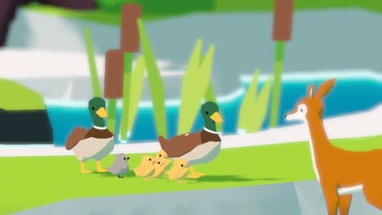 Forest Island — screenshot 3