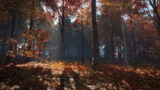 TheHunter: Call of the Wild - New England Mountains — screenshot 2