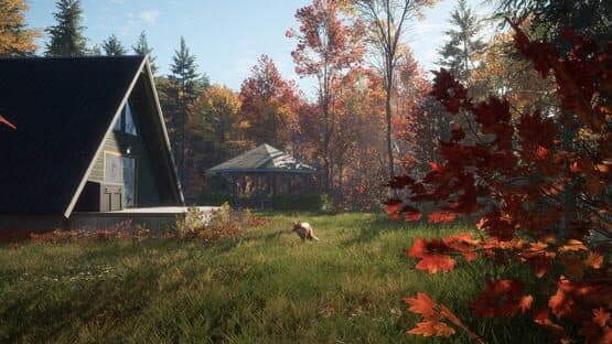 TheHunter: Call of the Wild - New England Mountains — screenshot 4