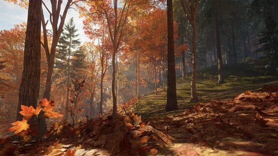 TheHunter: Call of the Wild - New England Mountains — screenshot 7