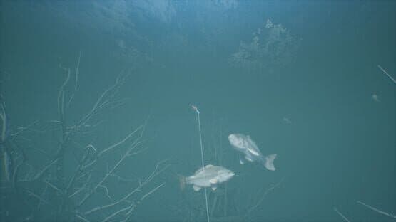 Bassmaster Fishing 2022: Classic Edition — screenshot 7