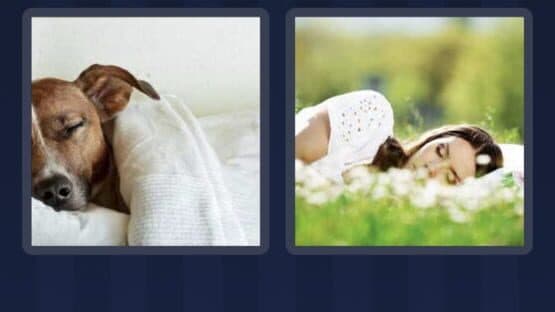 4 Pics 1 Word — screenshot 5