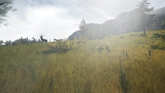 DragonHill VR — screenshot 4
