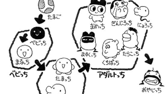 Tamagotchi — screenshot 4