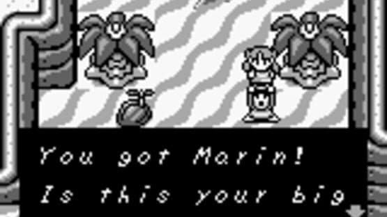 The Legend of Zelda: Link's Awakening — screenshot 1