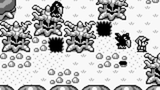 The Legend of Zelda: Link's Awakening — screenshot 3