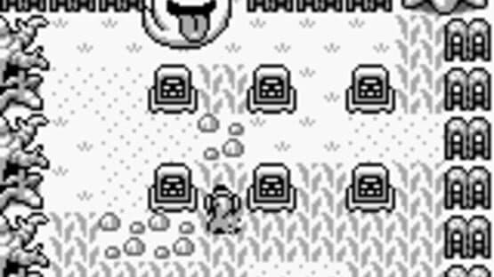 The Legend of Zelda: Link's Awakening — screenshot 5