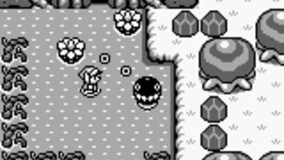 The Legend of Zelda: Link's Awakening — screenshot 8
