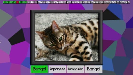 Test Your Knowledge: Cats — screenshot 1