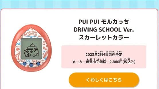 Pui Pui Molcartchi Driving School ver. — screenshot 2