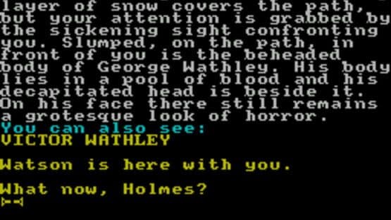 Sherlock Holmes: The Case of the Beheaded Smuggler — screenshot 3